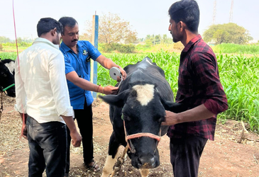 Farmers Program