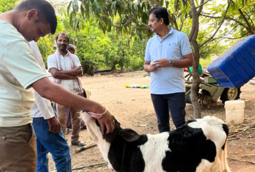 Dairy Development Program